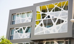 Cupidatat non proident